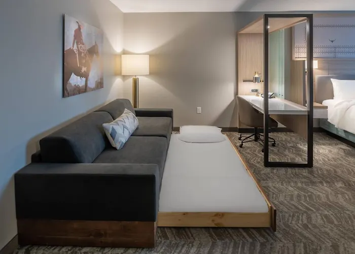Hotel Springhill By Marriott Worth Historic Stockyards