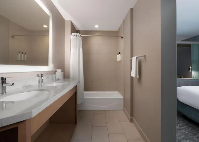 Springhill By Marriott Worth Historic Stockyards Hotel 3*