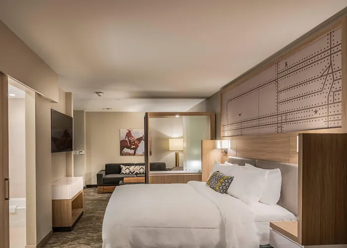 Springhill By Marriott Worth Historic Stockyards 3* Fort Worth
